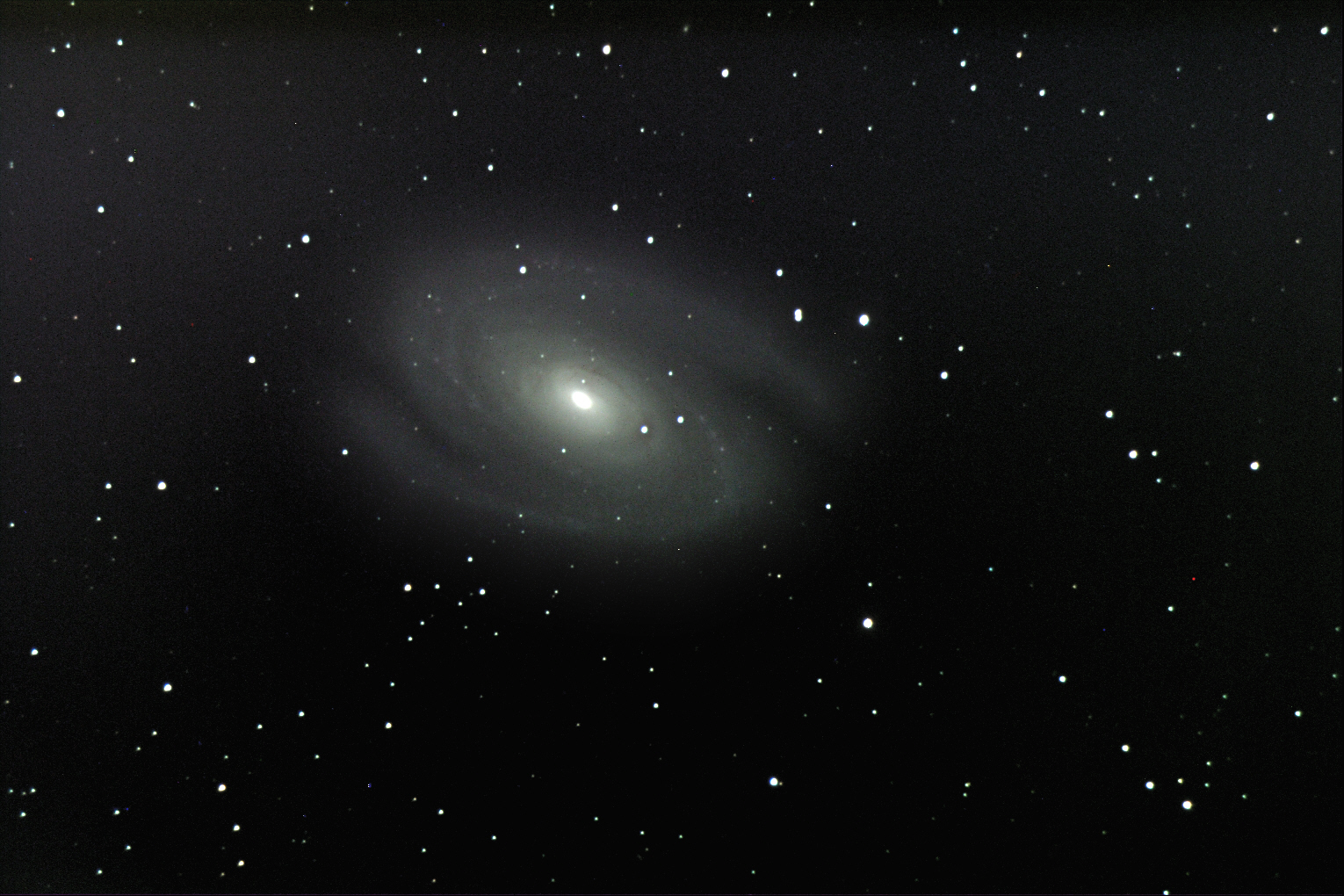 M81