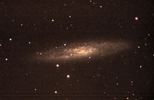 NGC253
