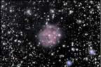 Cocoon Nebula (78kb)