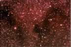 North America Nebula (69kb)
