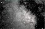 Sagitarius Star Cloud (378kb)